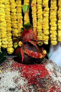 देवीचा सिंहगाभाऱ्यात पूर्ण विविध रंगीबेरंगी फुलांनी सजावट करण्यात आली होती.